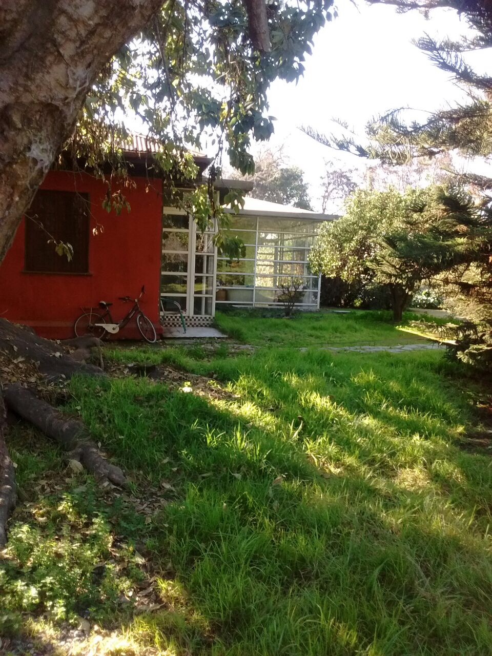 Foto 7