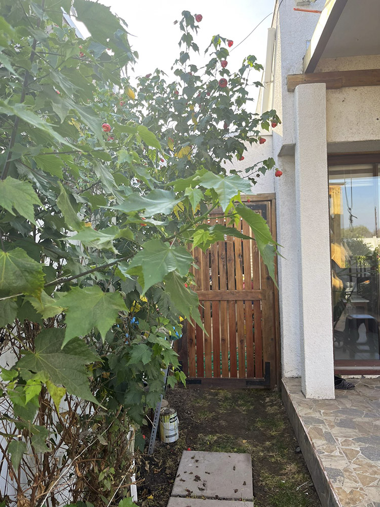 Foto 14