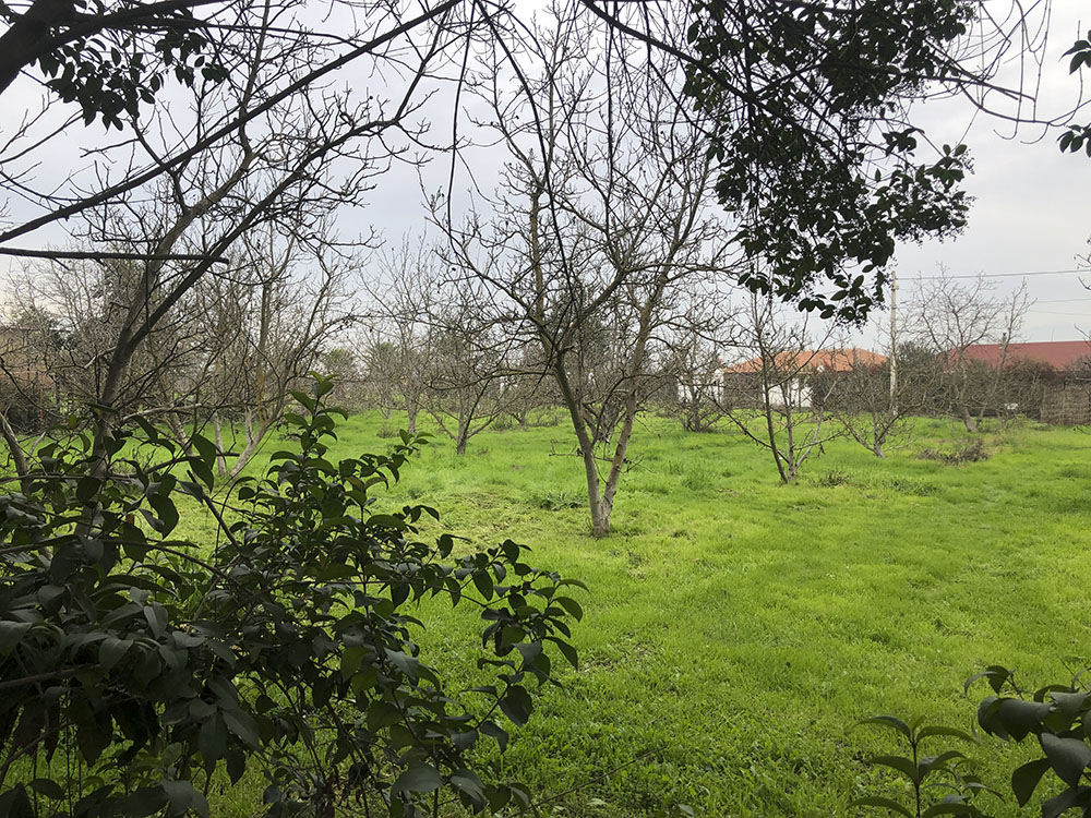 Foto 37