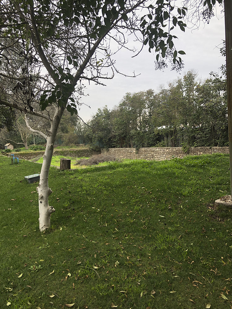 Foto 38