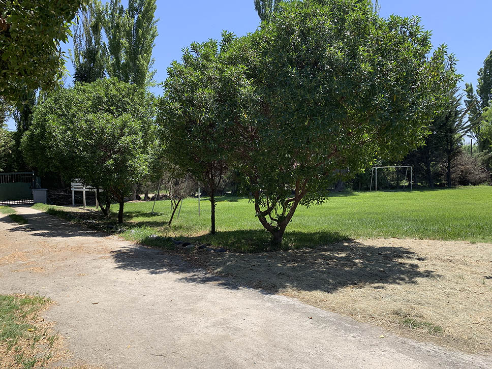 Foto 23
